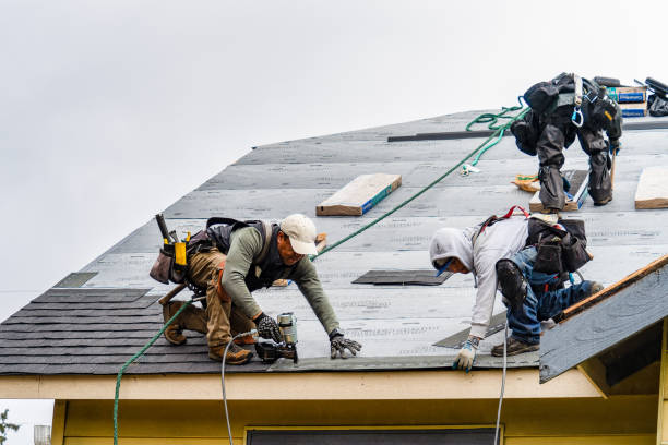 Professional Gutter Installation technician working in Ocala, FL